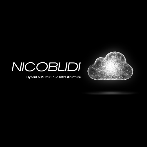 nicoblidi.com